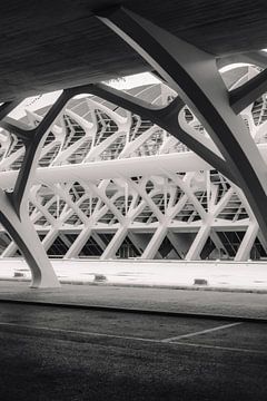 Zwart-wit compositie: geometrie van moderniteit van NZME Photography