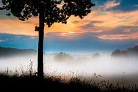 Nebel am Fluß