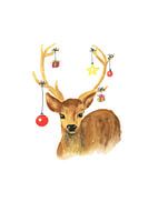 Weihnachtshirsch