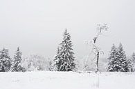 sneeuwlandschap van gj heinhuis thumbnail