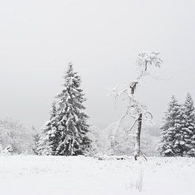 sneeuwlandschap van gj heinhuis