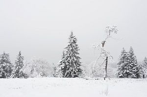 paysage enneigé sur gj heinhuis