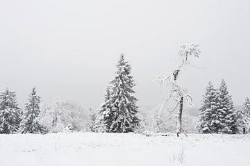 sneeuwlandschap van gj heinhuis