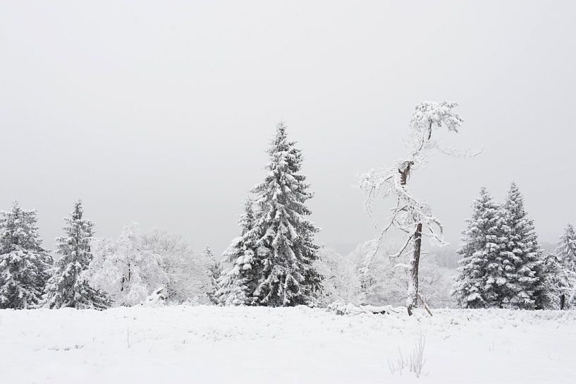 Schneelandschaft von gj heinhuis