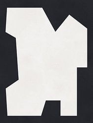 Zwart-wit meetkunde 7