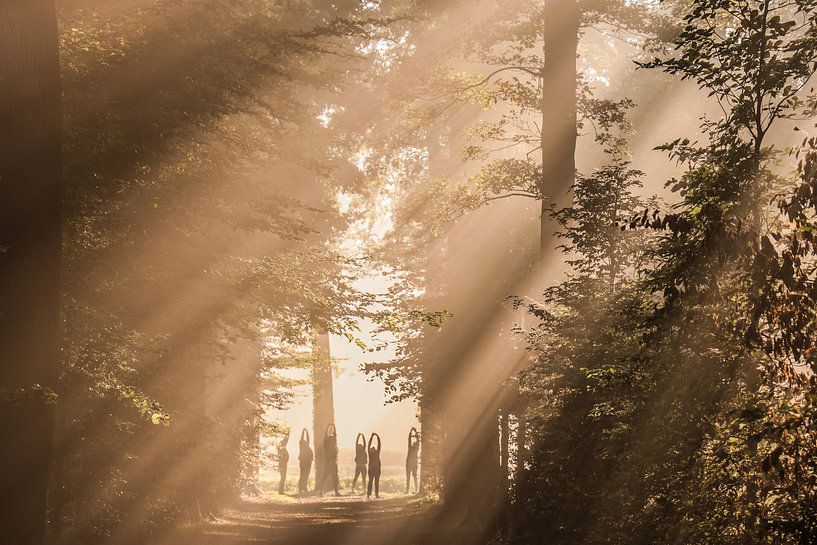 Zonnegroet! van Arthur Puls Photography