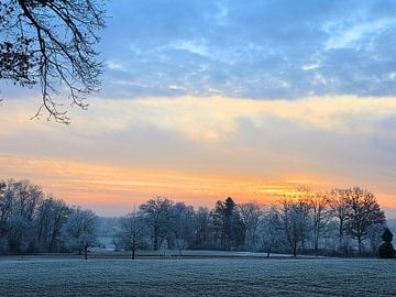 Morning glow in the mist