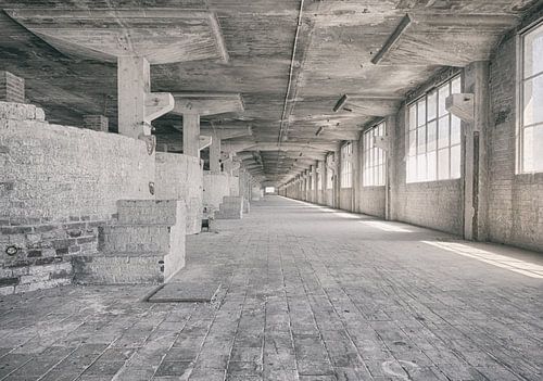 Verlaten plekken: Sphinx fabriek Maastricht Eiffelgebouw bassin en vensters.