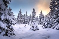 Traumhafter Harz