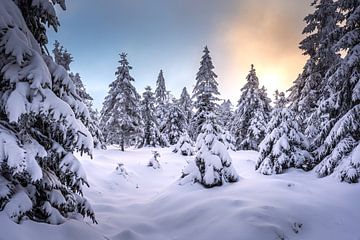 Dromerige Harz van Steffen Henze