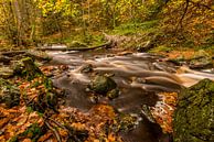 Autumn at the valley of the Hoëgne by Bert Beckers thumbnail