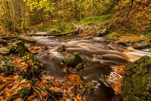 Herfst bij de vallei van de Hoëgne