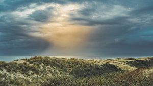 Kannst du den Regen spüren