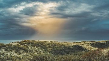 Kannst du den Regen spüren von Rik Verslype