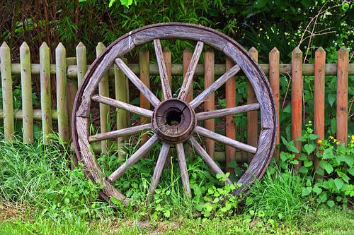 houten wiel