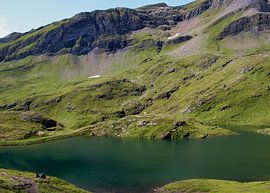 grüne Berge und blaue Seen in der Schweiz von Yara Terpsma