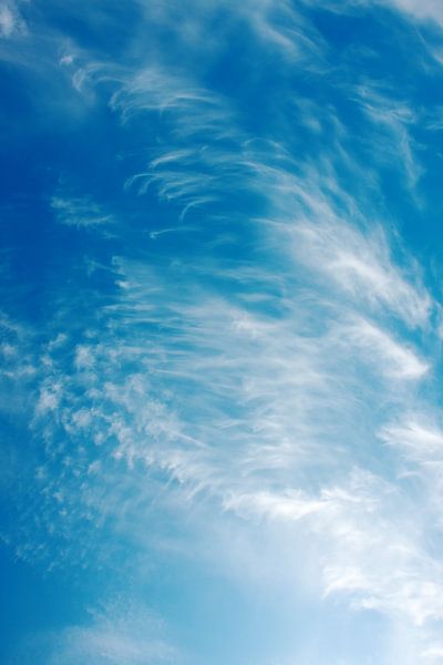 Sterke winden vormen cirruswolken met een diepe blauwe lucht van Jan Brons
