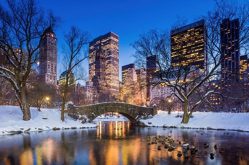 Gapstow Bridge in de winter, Central Park, New York City, VS