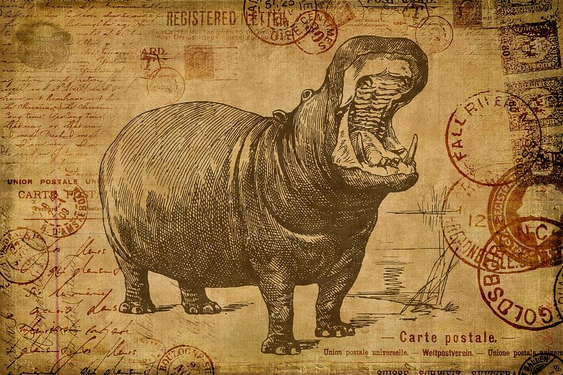 Adventure Africa by Andrea Haase