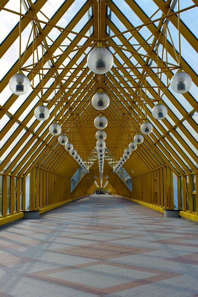 Pushkinsky Pedestrian Bridge by Andrew Chang