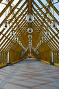 Pushkinsky Pedestrian Bridge by Andrew Chang thumbnail