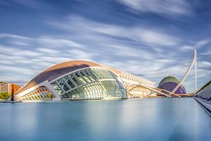 CITY OF ART AND SCIENCES,VALENCIA,SPAIN part I van Gerrit de Groot