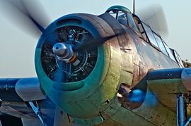 Grumman Avenger  von Willem Woudenberg / Photobywim