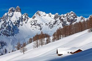 Berge und Alm im winterlichen Pongau