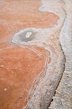 Gekristalliseerde zout in Puerto Real. Cadiz., Pedro Fructuoso van 1x