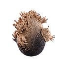 Hermes 3D pen kunstwerk fotoprint van Nina Avalon thumbnail