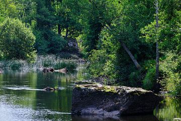 eman-Fluss in Schweden von Geertjan Plooijer