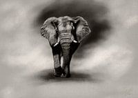 Olifant houtskool