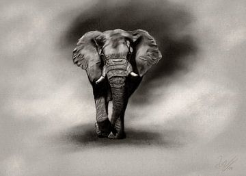 Elephant charcoal by W. Vos