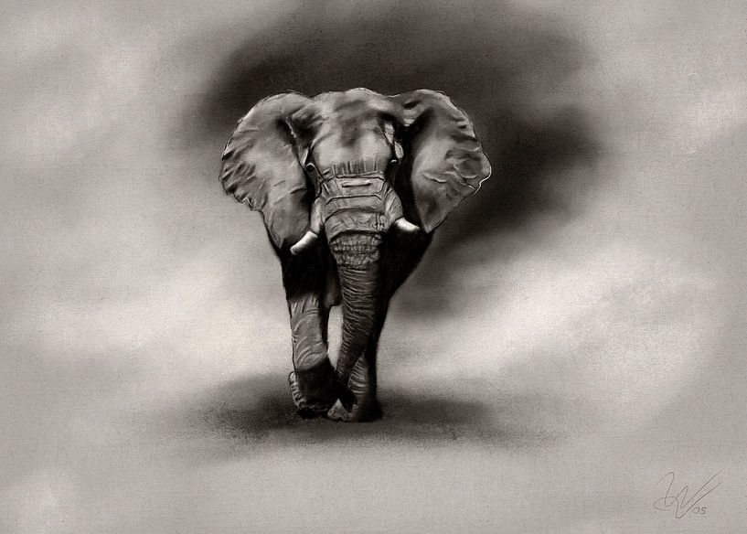 Olifant houtskool van W. Vos