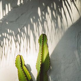SoCal Schaduwen van Bethany Young Photography