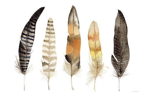 Natural Feathers, Kathleen Parr McKenna