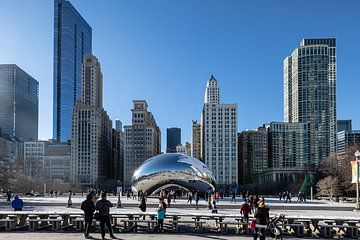 The Bean in Chicago met skyline van Chicago in de winter