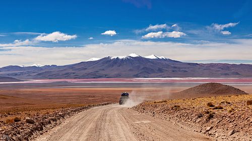 De Altiplano in Bolivia