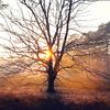 light is stronger than darkness... van Els Fonteine