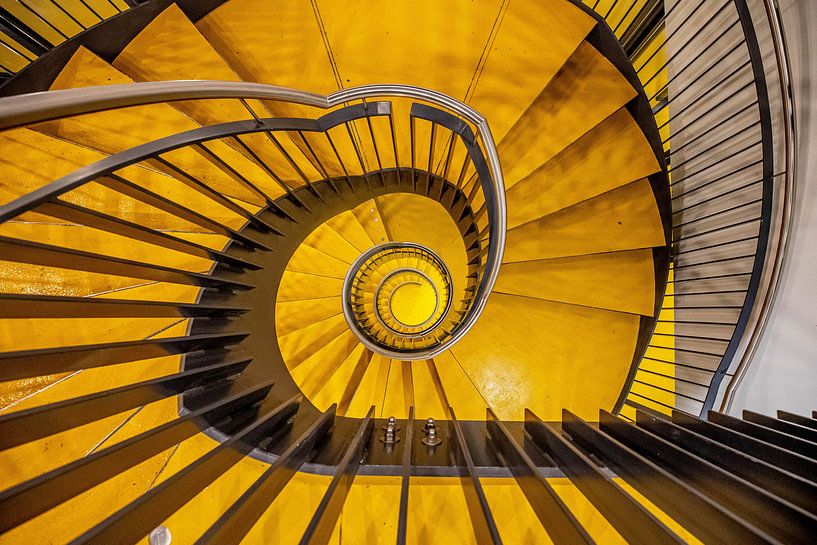 Yellow by Anita Martin, AnnaPileaFotografie