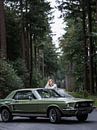 Ford Mustang van Marcel Bonte thumbnail