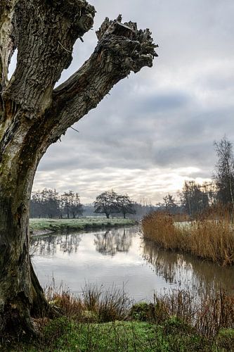 Een wandeling rondom de Dommelbeemden