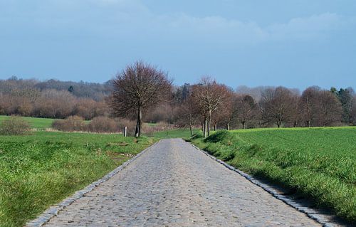 Route pavée dans la campagne flamande sur Werner Lerooy
