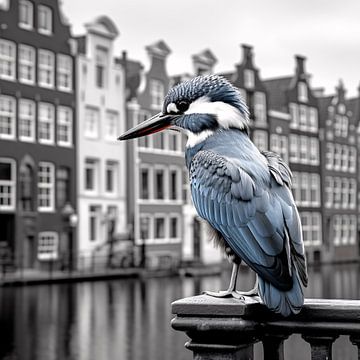 Vogel in Amsterdam