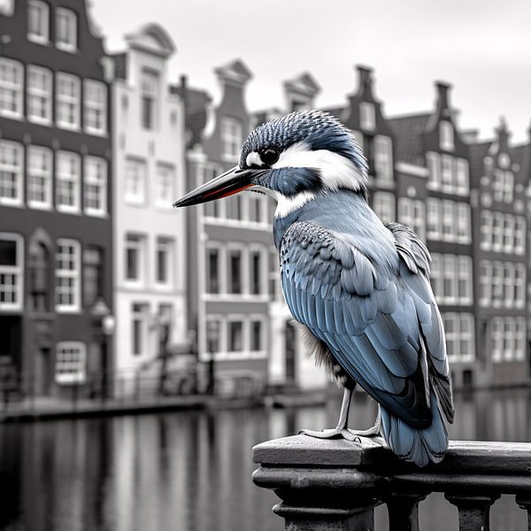 Vogel in Amsterdam von Thilo Wagner