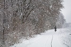 Der einsame Radfahrer im Eyser Wald