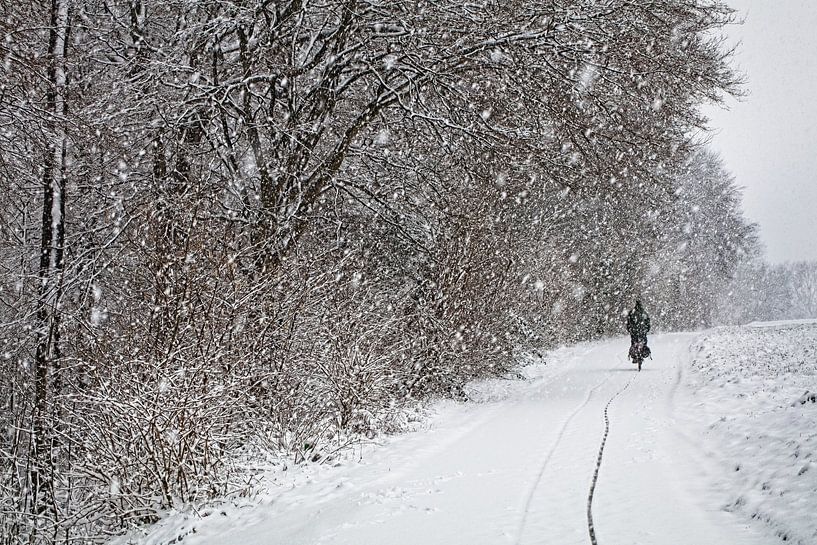 Der einsame Radfahrer im Eyser Wald von Rob Boon