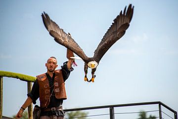 Adler von Bram de Muijnck