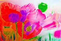 poppies