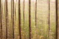 Paysage abstrait